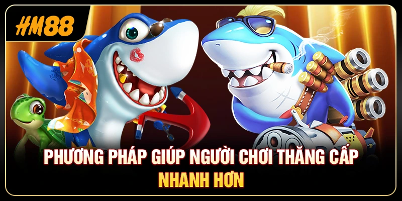 Tool X2 Xu Bắn Cá